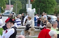 szureti_felvonulas_2010_016