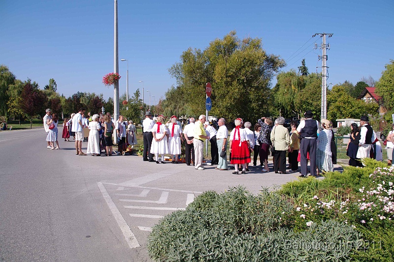 szureti_felvonulas_2011_022.jpg