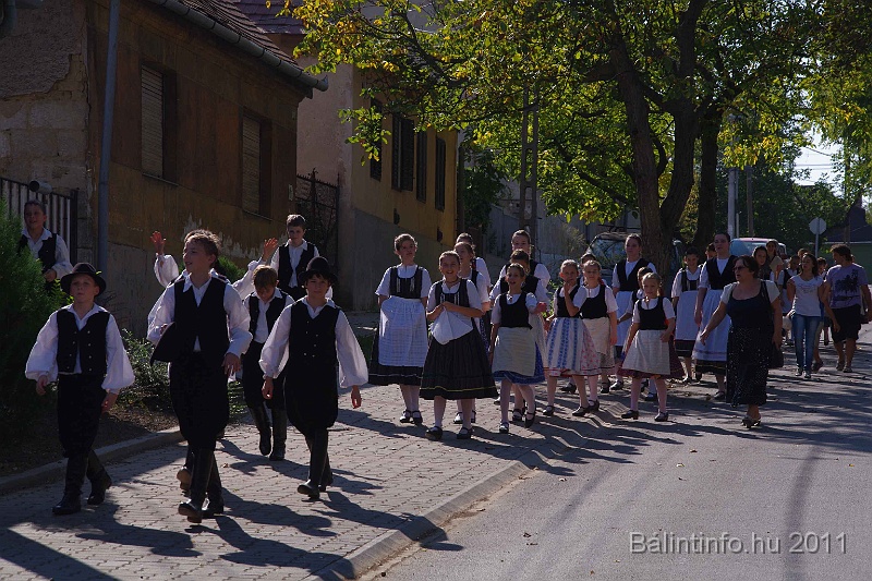 szureti_felvonulas_2011_025.jpg
