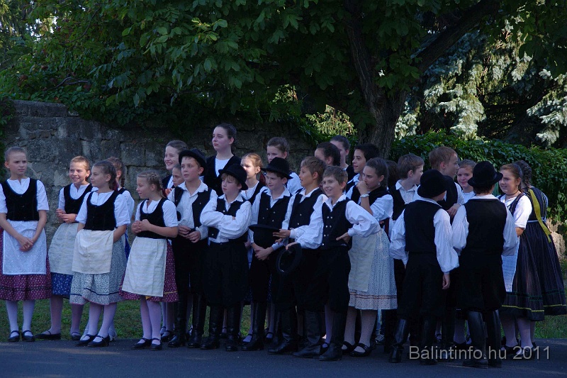 szureti_felvonulas_2011_036.jpg
