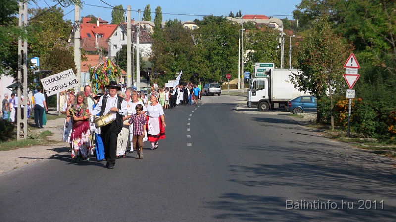 szureti_felvonulas_2011_241.jpg