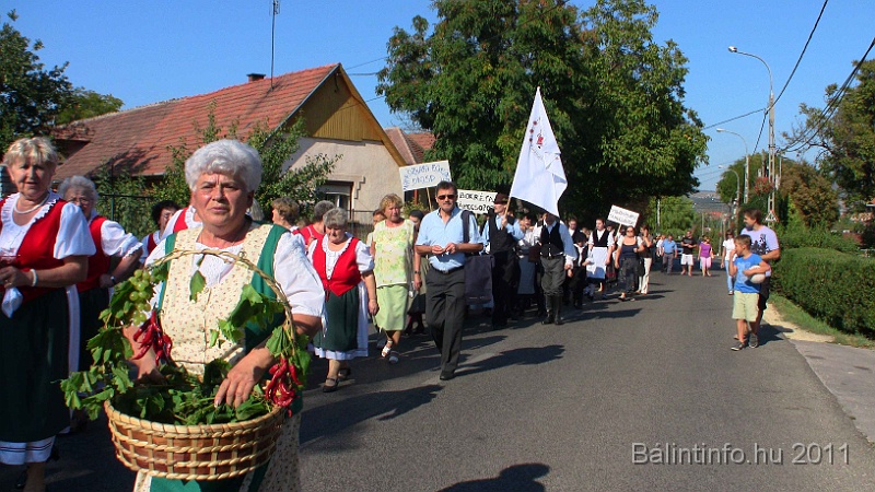 szureti_felvonulas_2011_254.jpg
