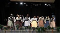 szureti_felvonulas_2011_299