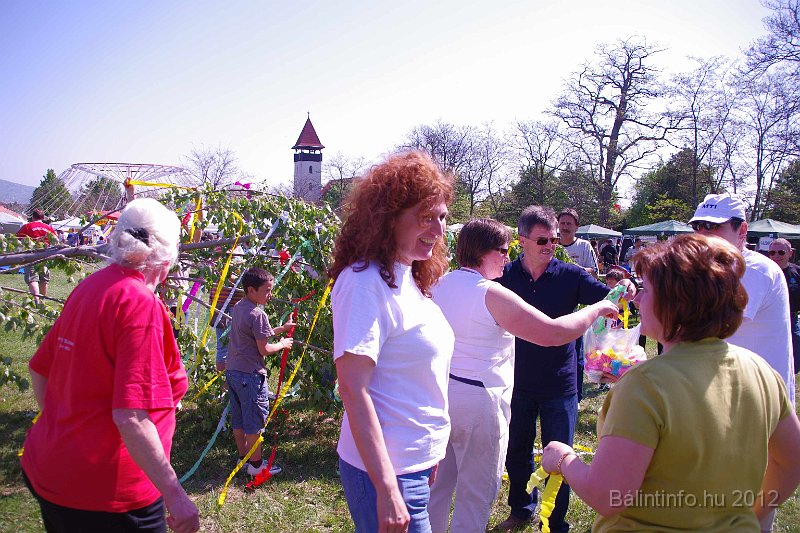 torokbalinti_varosi_majalis_2012_030.jpg