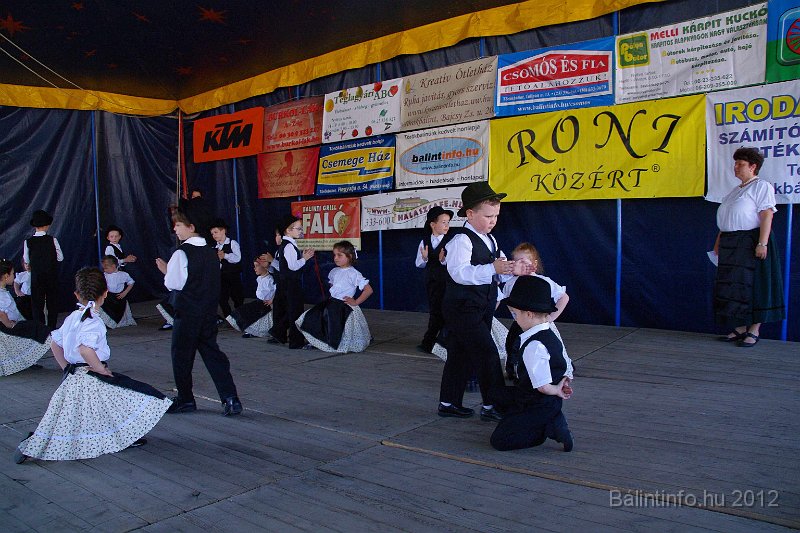 torokbalinti_varosi_majalis_2012_141.jpg