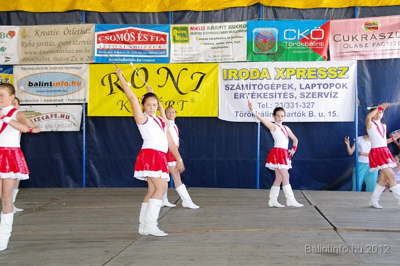 torokbalinti_varosi_majalis_2012_169.jpg