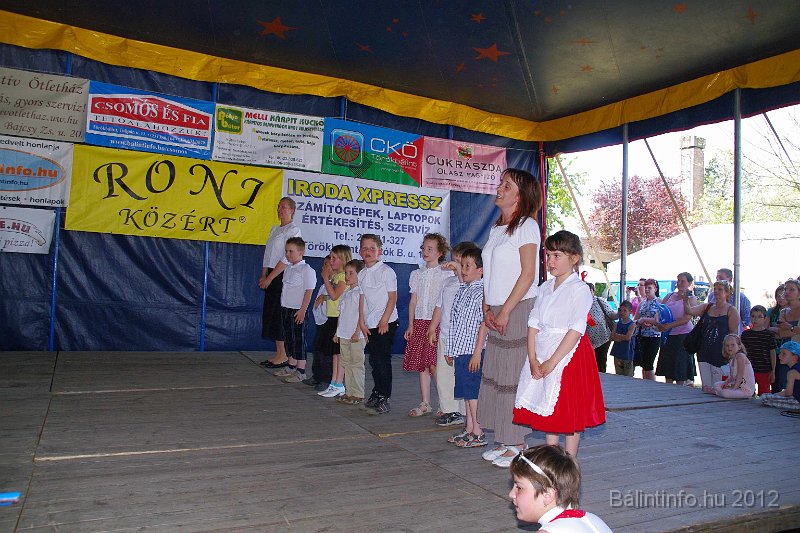 torokbalinti_varosi_majalis_2012_187.jpg