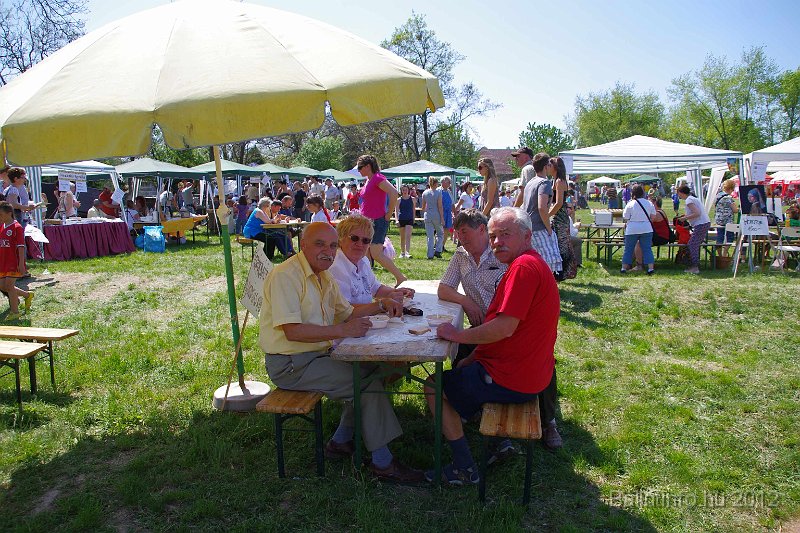 torokbalinti_varosi_majalis_2012_226.jpg
