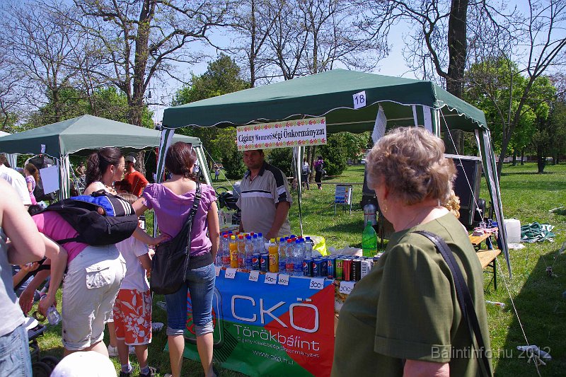 torokbalinti_varosi_majalis_2012_244.jpg