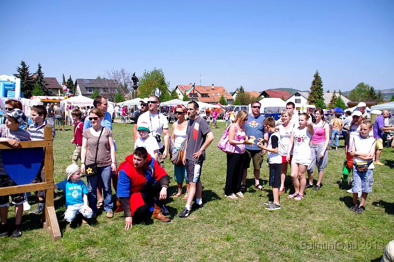torokbalinti_varosi_majalis_2012_251.jpg