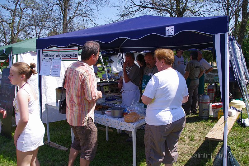 torokbalinti_varosi_majalis_2012_256.jpg