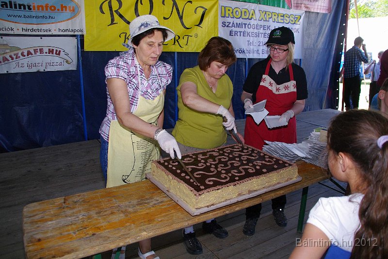 torokbalinti_varosi_majalis_2012_275.jpg