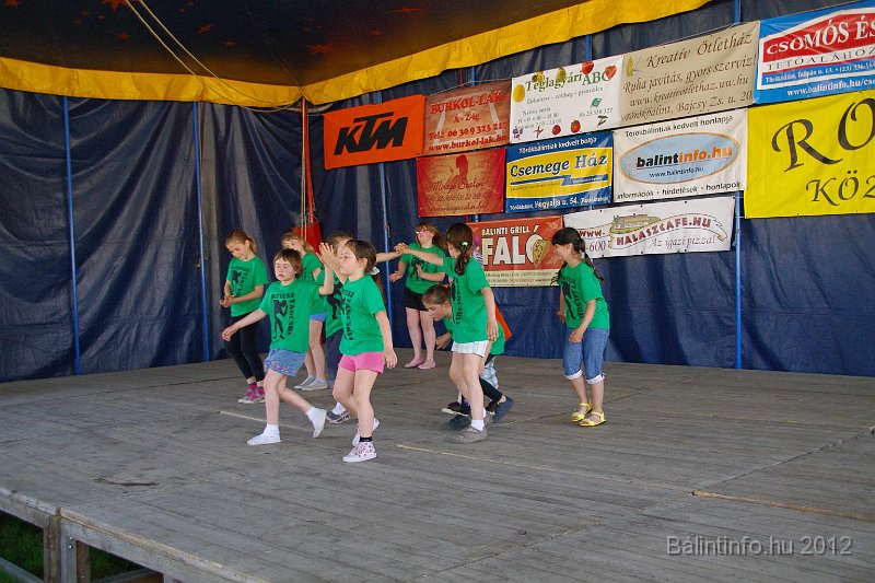 torokbalinti_varosi_majalis_2012_295.jpg