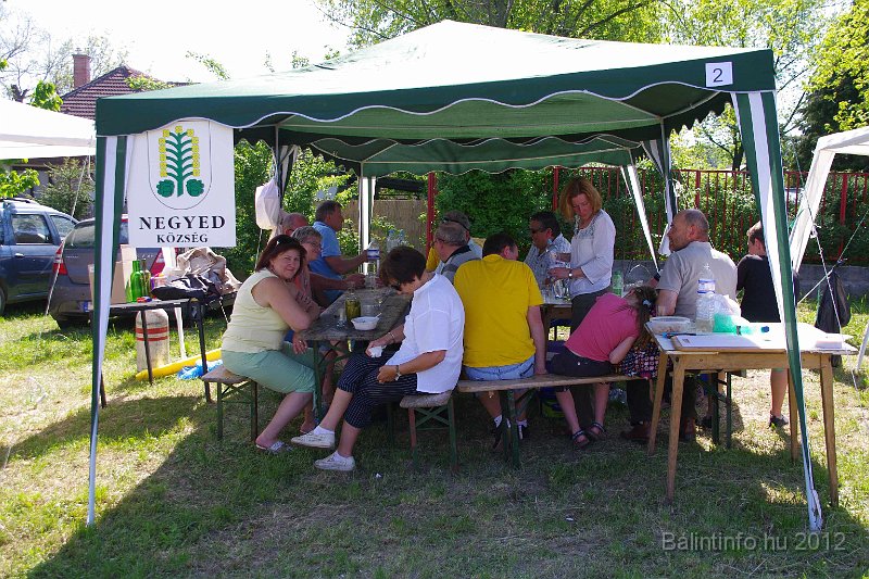 torokbalinti_varosi_majalis_2012_302.jpg