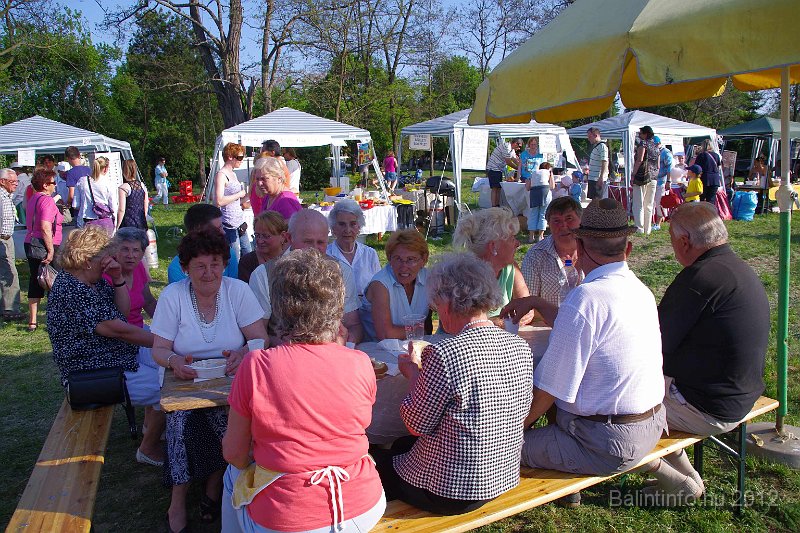 torokbalinti_varosi_majalis_2012_333.jpg