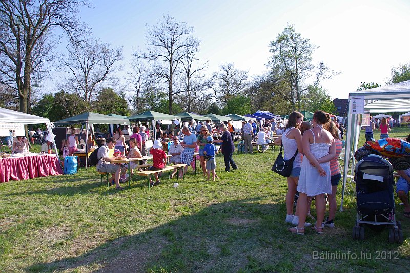 torokbalinti_varosi_majalis_2012_336.jpg