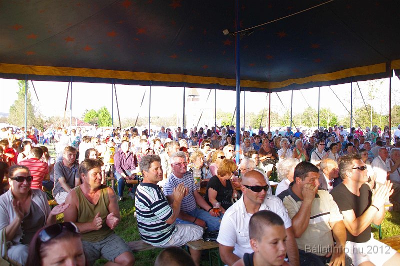 torokbalinti_varosi_majalis_2012_349.jpg