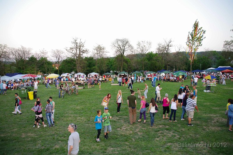 torokbalinti_varosi_majalis_2012_381.jpg
