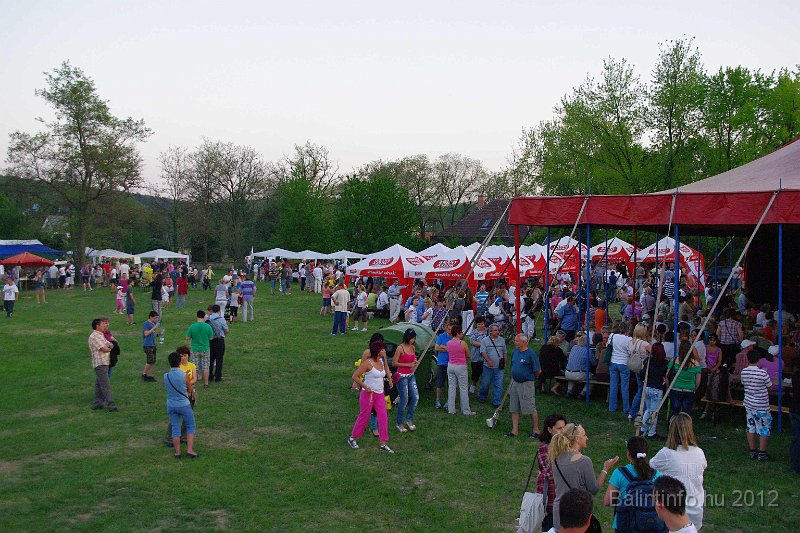 torokbalinti_varosi_majalis_2012_388.jpg
