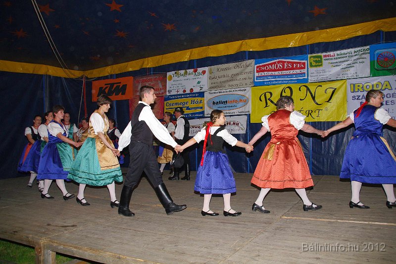 torokbalinti_varosi_majalis_2012_390.jpg