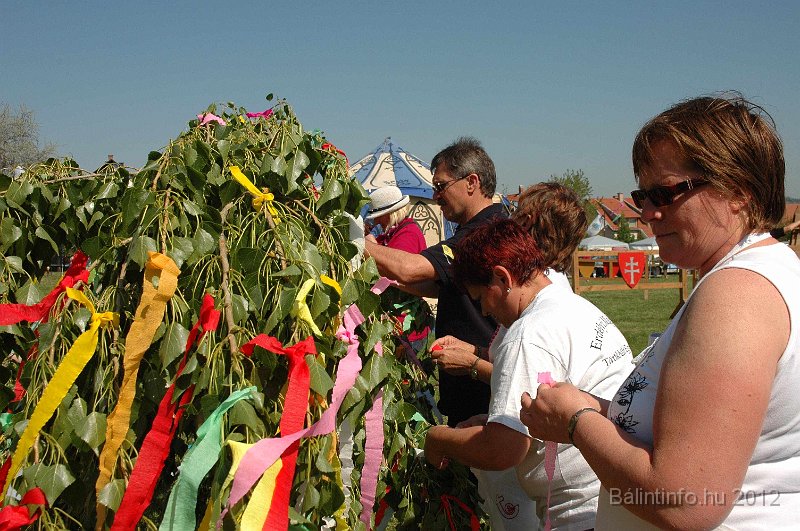 torokbalinti_varosi_majalis_2012_524.jpg