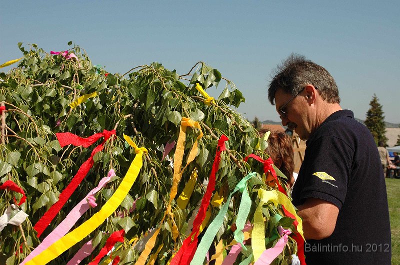 torokbalinti_varosi_majalis_2012_525.jpg