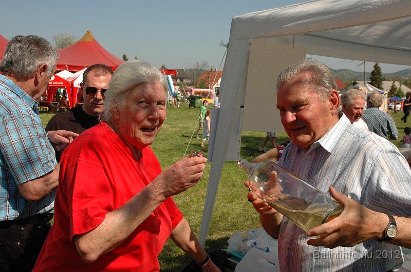 torokbalinti_varosi_majalis_2012_554.jpg