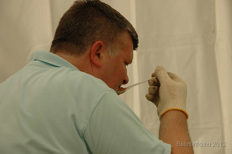 torokbalinti_varosi_majalis_2012_603.jpg