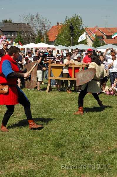 torokbalinti_varosi_majalis_2012_640.jpg