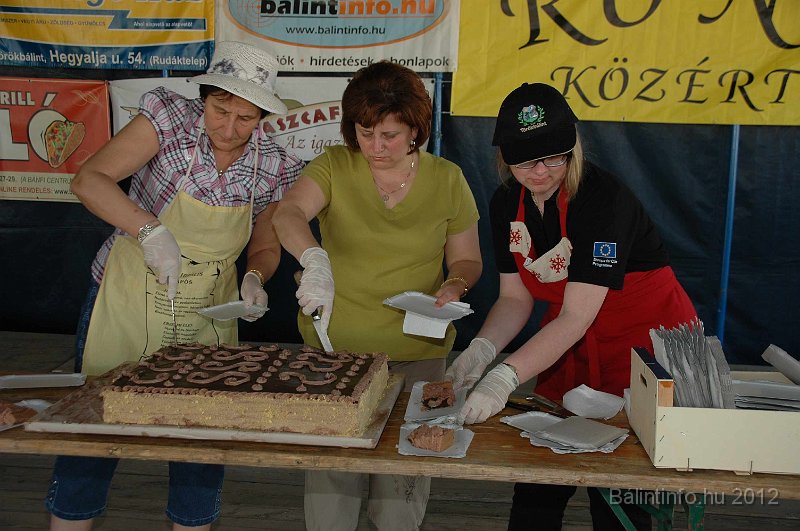 torokbalinti_varosi_majalis_2012_686.jpg
