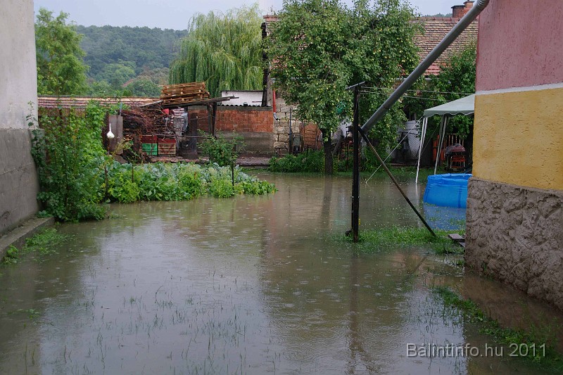 vihar_2011_julius_032.jpg