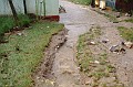 vihar_2011_julius_014