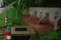 vihar_2011_julius_026