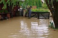 vihar_2011_julius_036