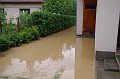 vihar_2011_julius_051