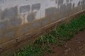 vihar_2011_julius_060