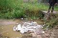 vihar_2011_julius_064