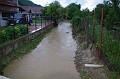 vihar_2011_julius_069