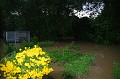vihar_2011_julius_078
