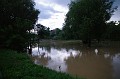 vihar_2011_julius_080