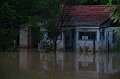 vihar_2011_julius_082