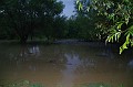 vihar_2011_julius_085