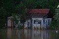 vihar_2011_julius_087