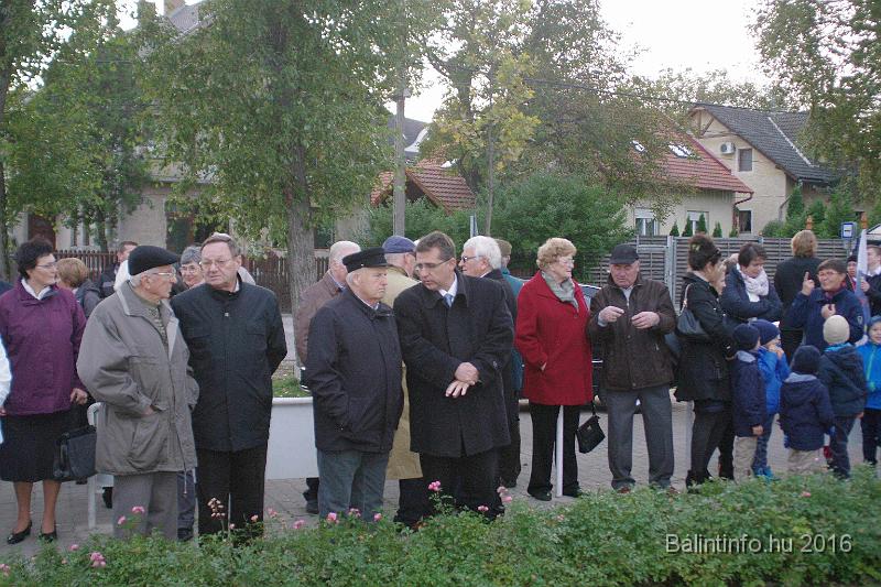 torokbalint_testvervarosok_tere_avatas_2016_002.jpg