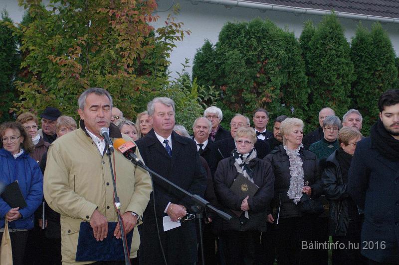 torokbalint_testvervarosok_tere_avatas_2016_021.jpg