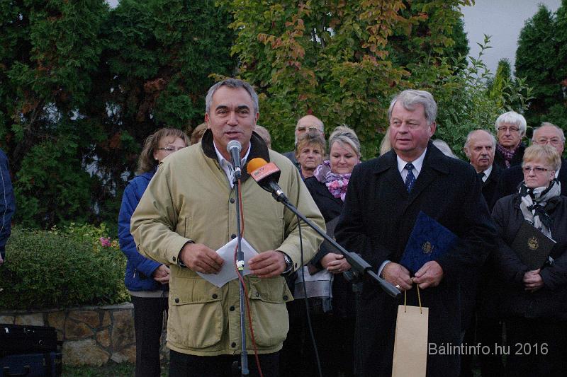 torokbalint_testvervarosok_tere_avatas_2016_031.jpg