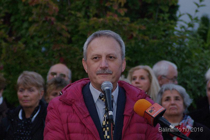 torokbalint_testvervarosok_tere_avatas_2016_038.jpg
