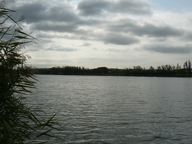 horg.verseny_25_eves_025.jpg