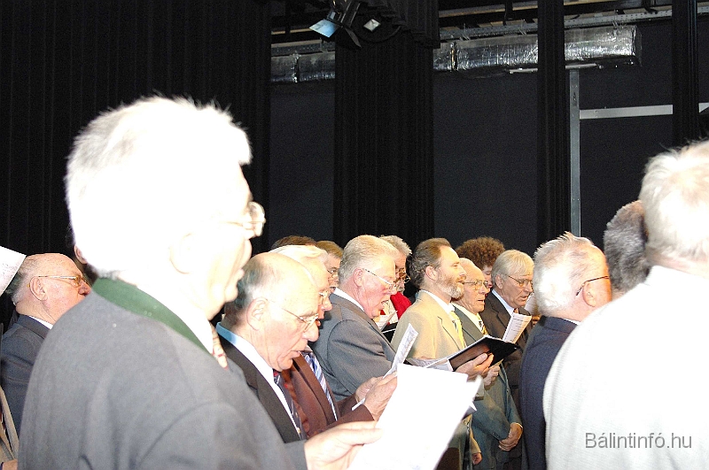 katalinbal_2008_049.jpg