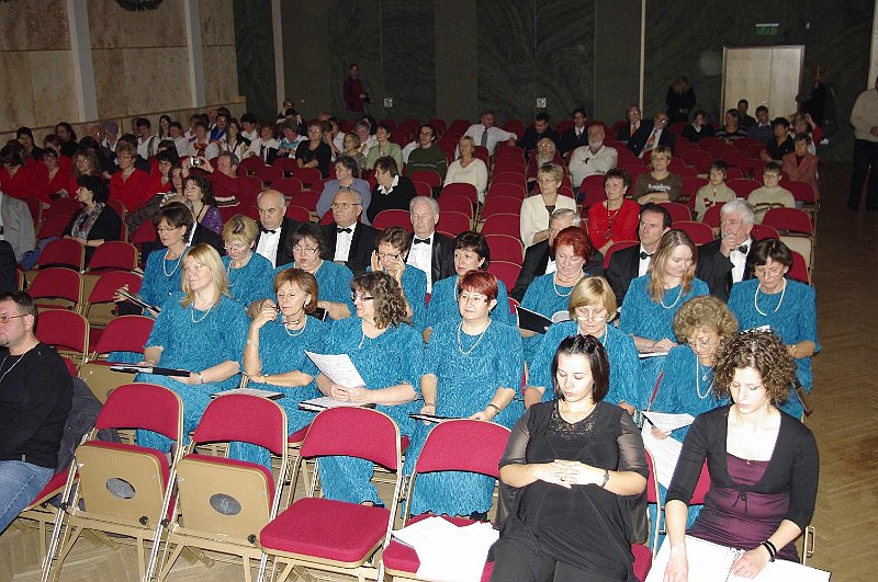 korustalalkozo_2008_004.jpg